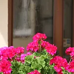 Szálloda An Der Altstadt 3*