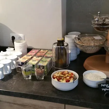 阿特斯达特酒店 酒店 哈默尔恩