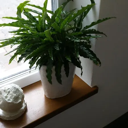 An Der Altstadt 3* Hamelin