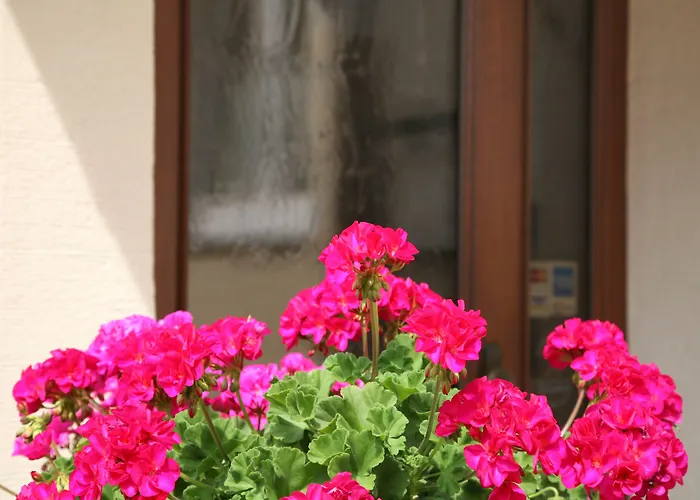 Hotel An Der Altstadt 3*