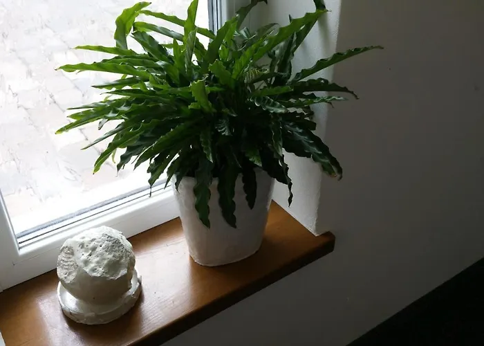 An Der Altstadt 3* Hamelin